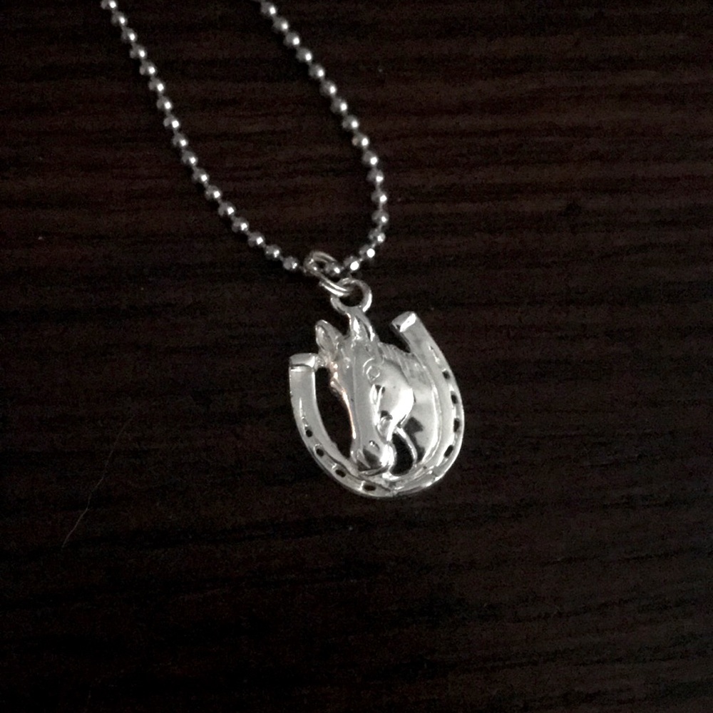 Horseshoe necklace